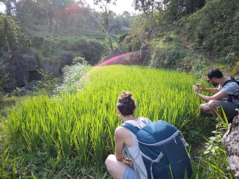 Yogyakarta: Borobudur Temple and Selogriyo Rice Terrace Tour - Final Thoughts