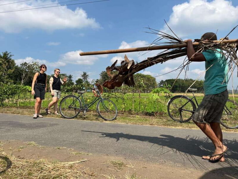 Yogyakarta: Countryside Village Cycling Tour With Guide - A Genuine Look at the Tour Experience