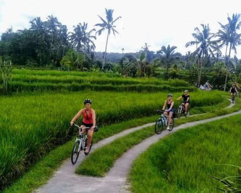 YOGYAKARTA; CYCLING IN PRAMBANAN VILLAGE & PRAMBANAN TEMPLE - Introduction: A Genuine Mix of Culture and Nature