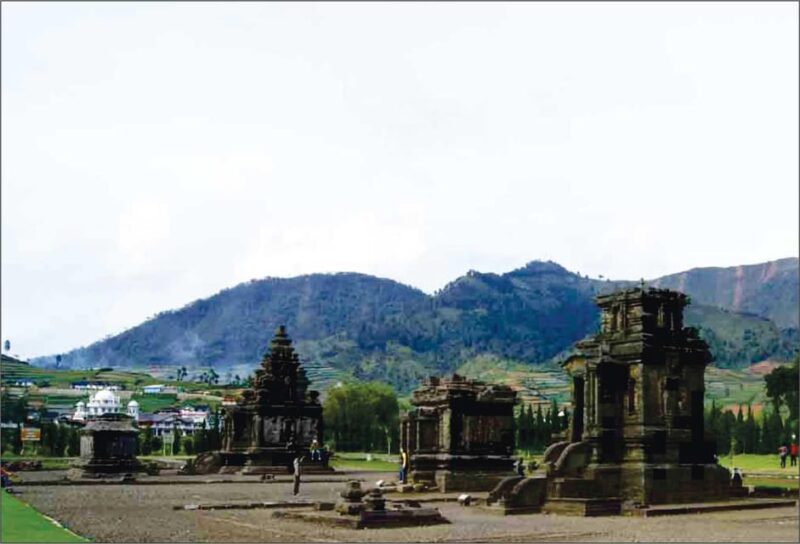 Yogyakarta: Dieng Sunrise Trip & Borobudur Afternoon Tour - Important Information