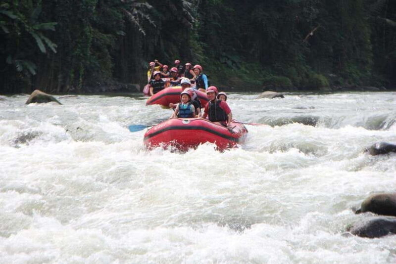 Yogyakarta: Elo White Water Rafting with 12KM Distance - FAQ