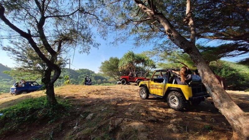 Yogyakarta: Explore Pindul Cave, Oyo River & Timang Beach - The Authentic Touch and Guides