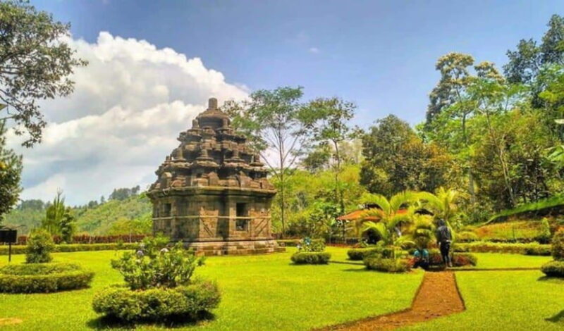 YOGYAKARTA; EXPLORE SELOGRIYO RICE FIELDS & MENDUT TEMPLE. - How the Day Unfolds