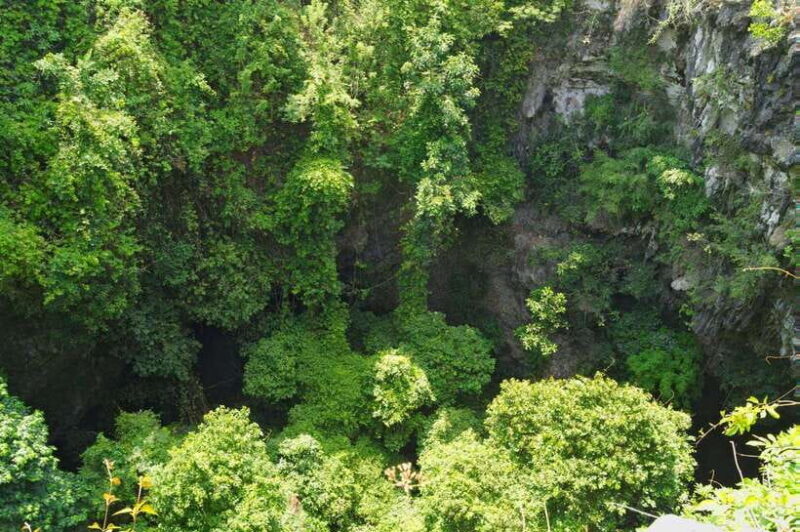 Yogyakarta: Jomblang Cave and Pindul Cave Tour - Frequently Asked Questions