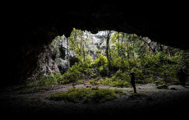 Yogyakarta: Jomblang Cave and Pindul Cave Tour with Lunch - Key Points