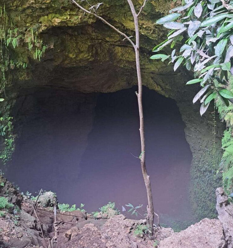 Yogyakarta: Jomblang Cave Tour - What’s Included and What’s Not  