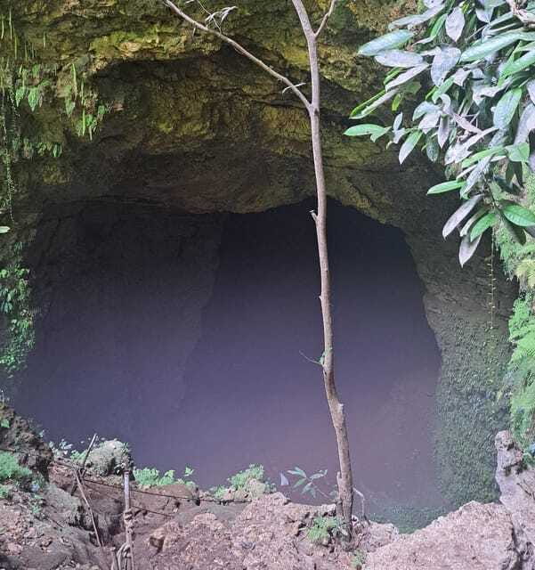 Yogyakarta: Jomblang Cave Tour - The Practicalities: Timing, Duration, and Suitability  