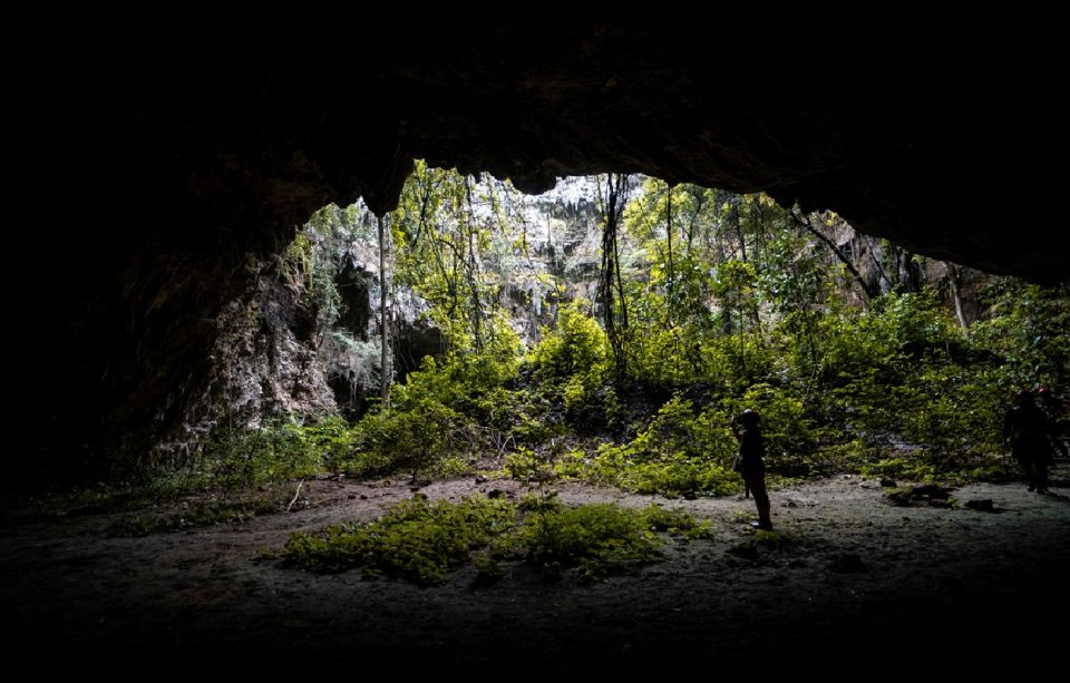 Yogyakarta: Jomblang & Pidul Cave Guided Adventure - Tips for Visitors