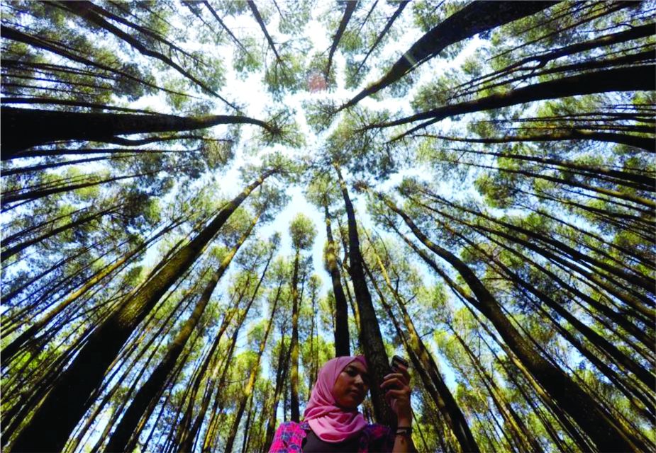 Yogyakarta: Jurang Tembelan, Pine Forest, and Timang Beach - Frequently Asked Questions