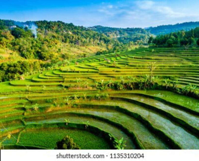 YOGYAKARTA; KEDUNG KAYANG WATERFALL AND SELOGRIYO TEMPLE. - The Package and Practical Details