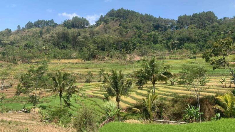 Yogyakarta: Merapi Jeep Tour & Selo Griyo Temple Visit - FAQs