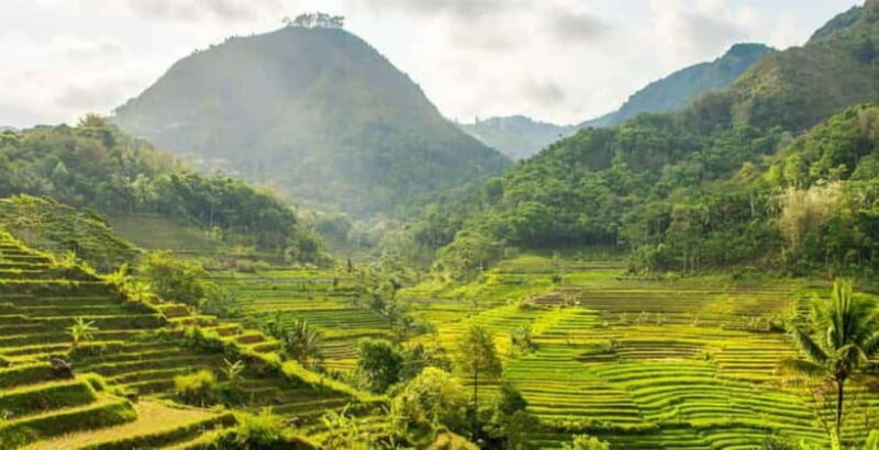 YOGYAKARTA; NEPAL VAN JAVA AND EXPLORE SELOGRIYO RICE FIELDS - Introduction: What Makes This Tour Stand Out
