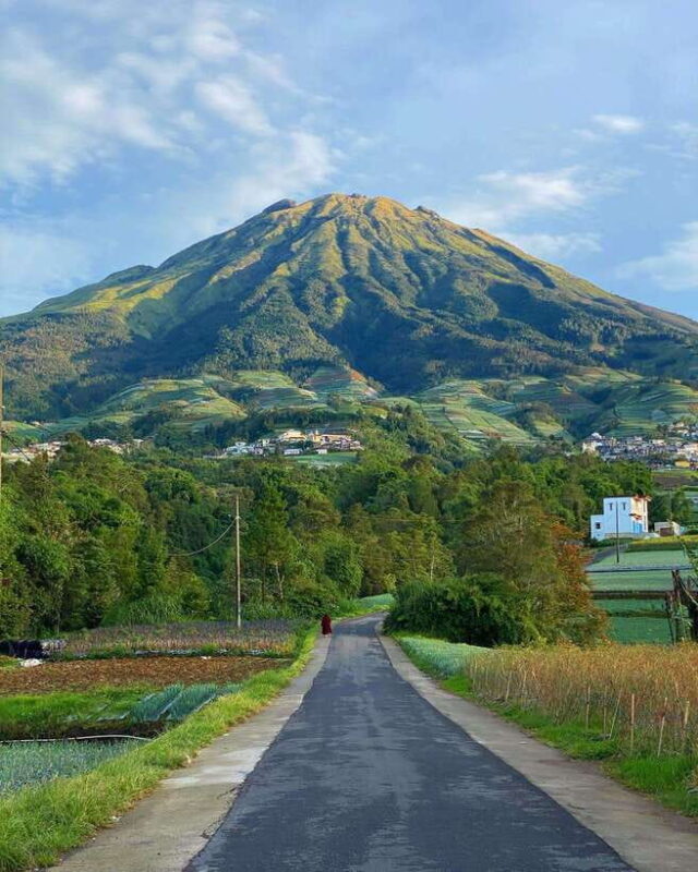 Yogyakarta : Nepal Van java & Kedung Kayang waterfall trip - Transport and Group Size: Ensuring Comfort and Intimacy