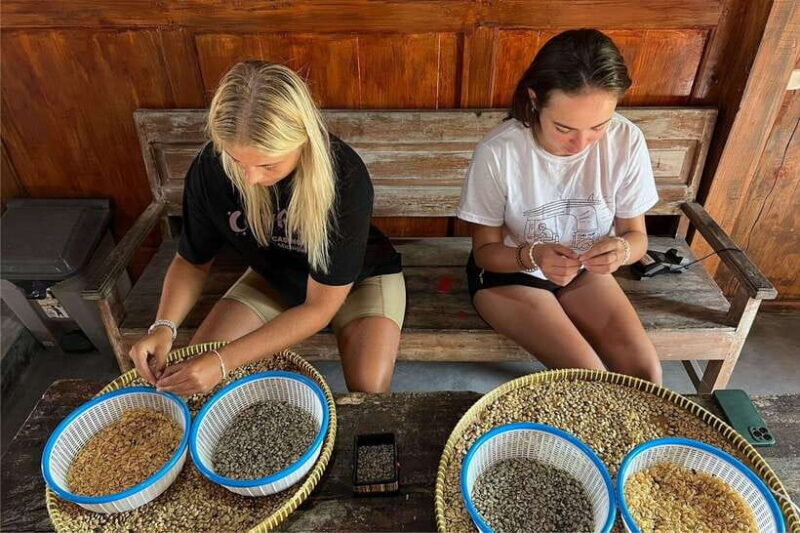 Yogyakarta: Private Custom Women-Only Tour with Female Guide - Who Is This Tour Best For?