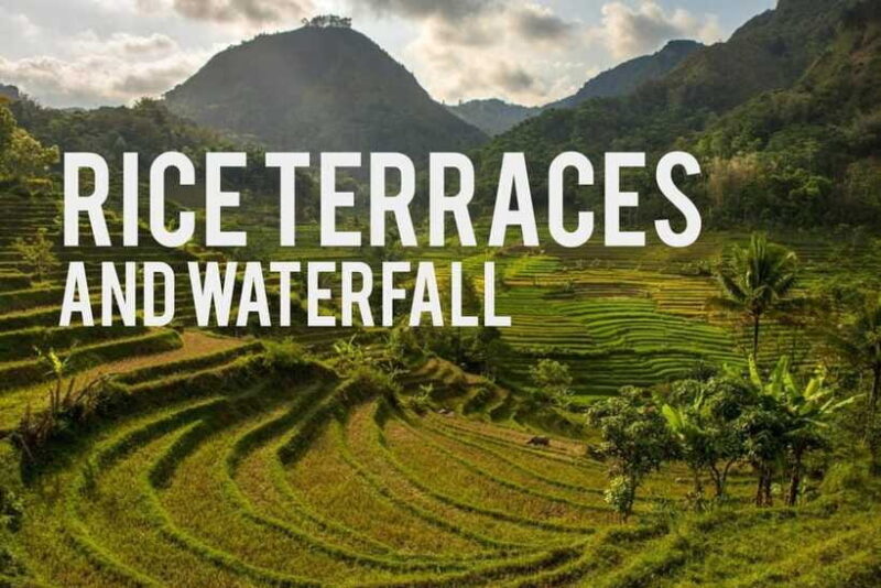 Yogyakarta Rice Terraces Hike and Kedungkayang Waterfall - Kedungkayang Waterfall – The Hidden Gem