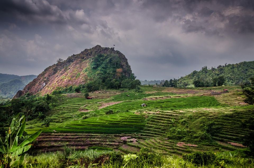 Yogyakarta: Selogriyo, Marvel Amidst Java’s Lush Terraces | Travel Buddies