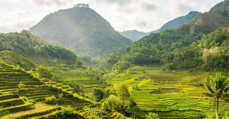 Yogyakarta; Selogriyo Tempel & Tracking Terrased Rice Fields - Practical Aspects of the Tour