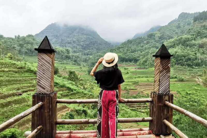 Yogyakarta; Selogriyo Tempel & Tracking Terrased Rice Fields - Authentic Experiences and Local Interaction