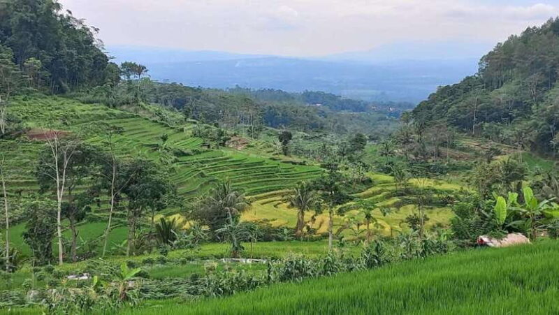 Yogyakarta : Selogriyo Temple And Kedung Kayang Waterfall - Final Thoughts: Who Would Love This Tour?