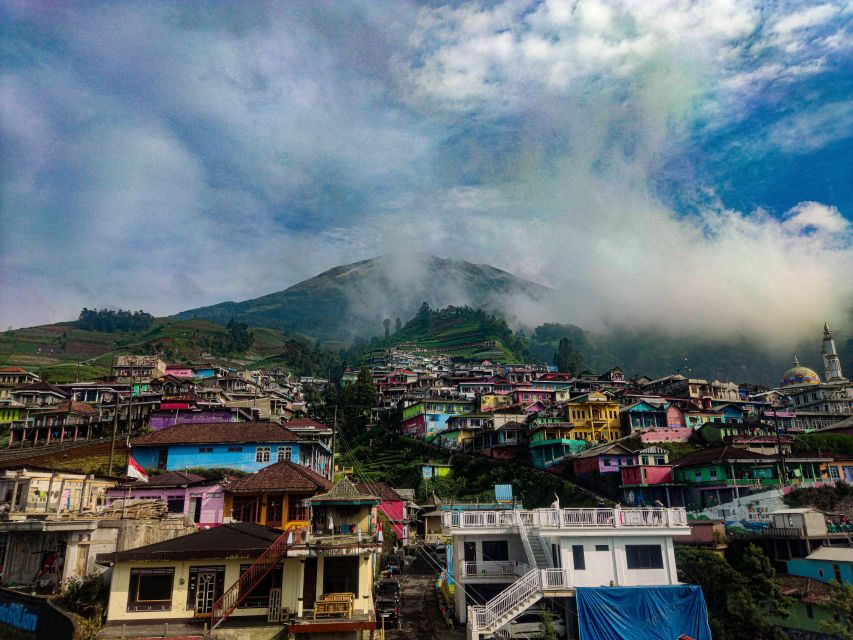 Yogyakarta: Selogriyo Temple, Rice Field Trek, and Nepalese Java - Key Points