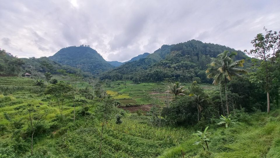 Yogyakarta: Selogriyo Temple, Rice Field Trek, and Nepalese Java - Exploring the Temple