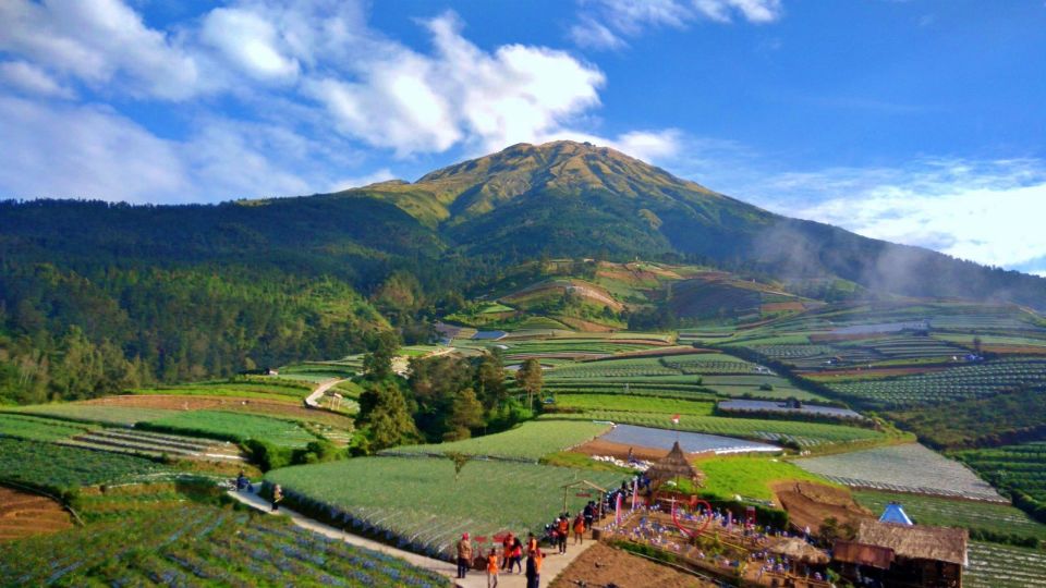 Yogyakarta: Selogriyo Temple, Rice Field Trek, and Nepalese Java - Rice Field Trekking