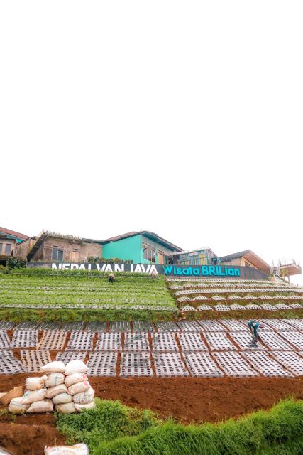 Yogyakarta: Selogriyo Temple, Rice Field Trek, and Nepalese Java - Frequently Asked Questions