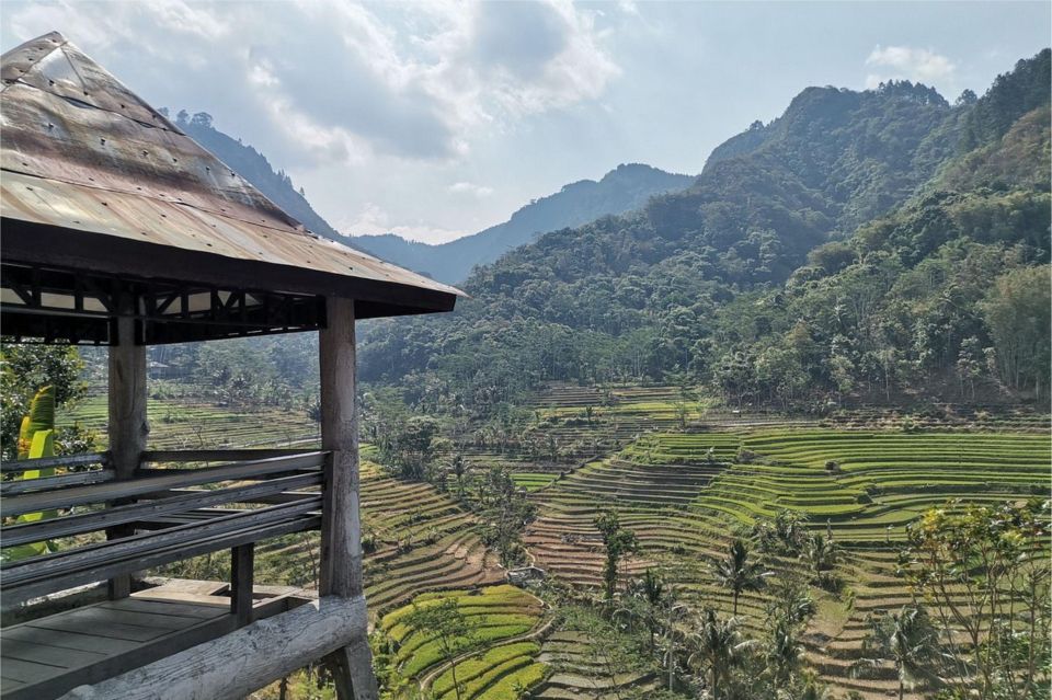 Yogyakarta: Selogriyo Temple, Rice Terraces & Waterfall Tour - Scenic Rice Terraces