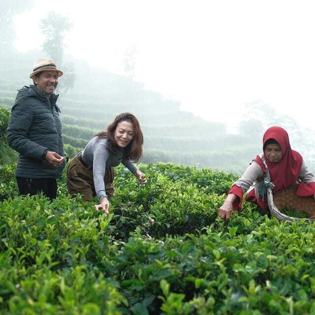 Yogyakarta Tea Class & Borobudur Climb Up Guided Shared Tour - FAQ