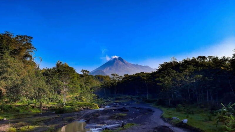 Yogyakarta to Everywhere: Car/Van Trip with Driver & Guide - Why This Tour Could Be a Great Choice