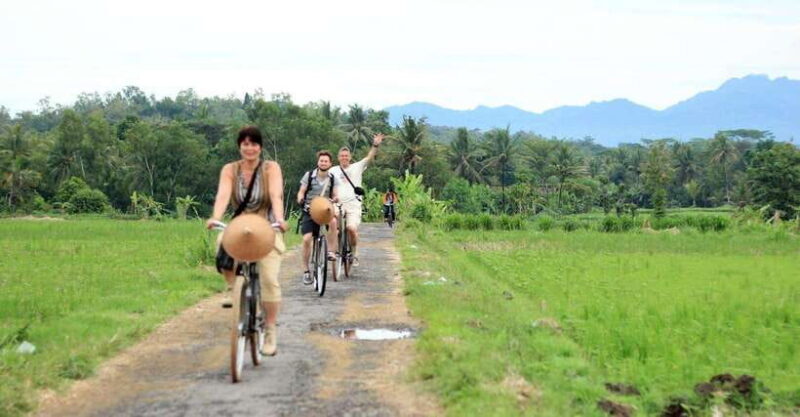 Yogyakarta: Traditional Village Bicycle Tour with Transfer - An In-Depth Look at the Tour