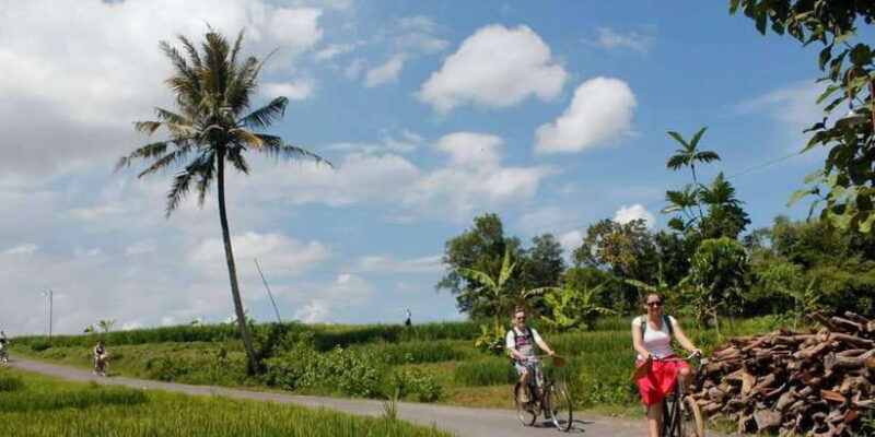 Yogyakarta: Traditional Village Bicycle Tour with Transfer - Authenticity and Value