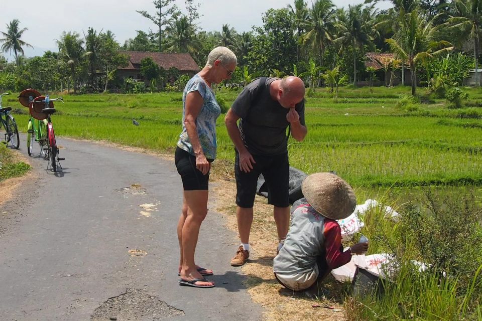 Yogyakarta: Village Cycling Tour Feel Real Local Atmosphere - Key Points
