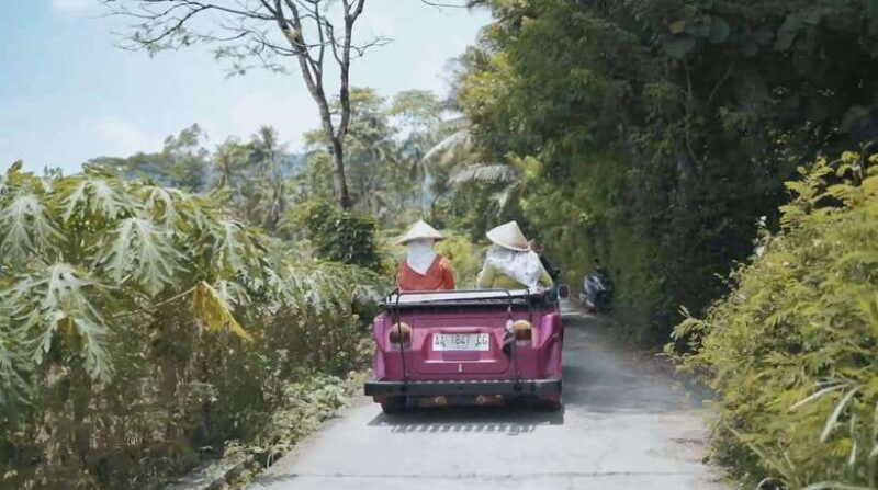 Yogyakarta : VW Borobudur English Guide Tour Day Trip - The Value Proposition