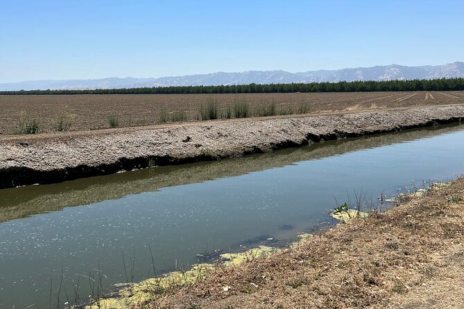 Yolo County Explorer: Culinary & Cultural Tour Review - Discovering the Regions Cultural Treasures