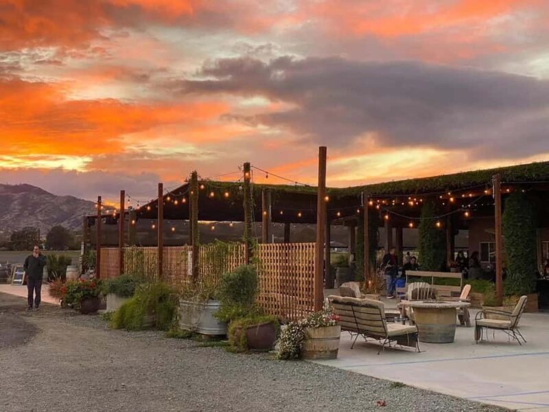 Yolo: Vineyards, Farms & Cultural Gems - Audio Driving Tour - Who Will Benefit Most?