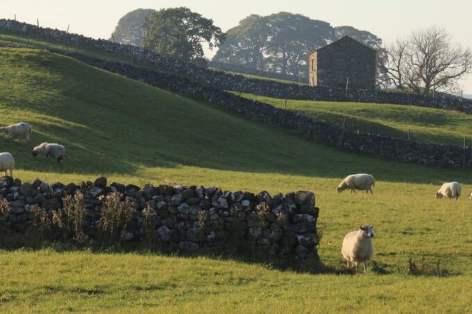 York: All Creatures Great and Small Yorkshire Dales Tour - Tour Inclusions and Exclusions