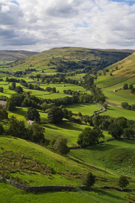 York: All Creatures Great and Small Yorkshire Dales Tour - Booking and Availability