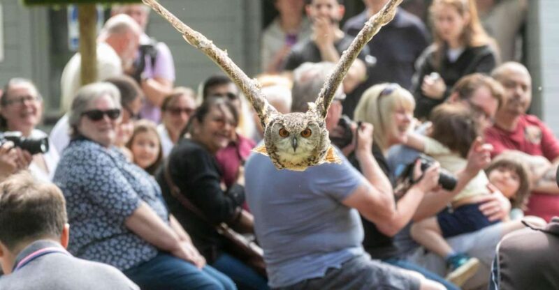York: Entry to York Bird of Prey Centre - Facilities and Accessibility