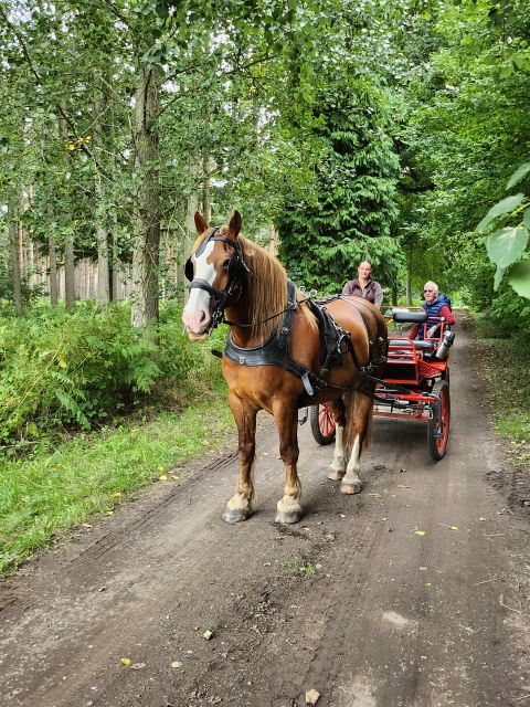 York: Horse Drawn Carriage Ride Around the Countryside York - Itinerary Details