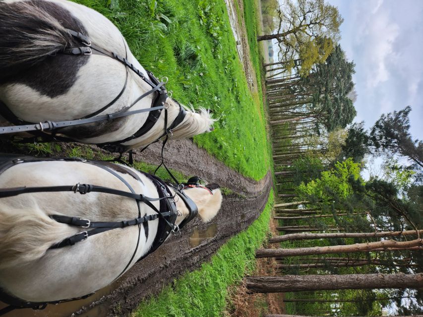 York: Horse Drawn Carriage Ride & Cream Tea - Booking Process