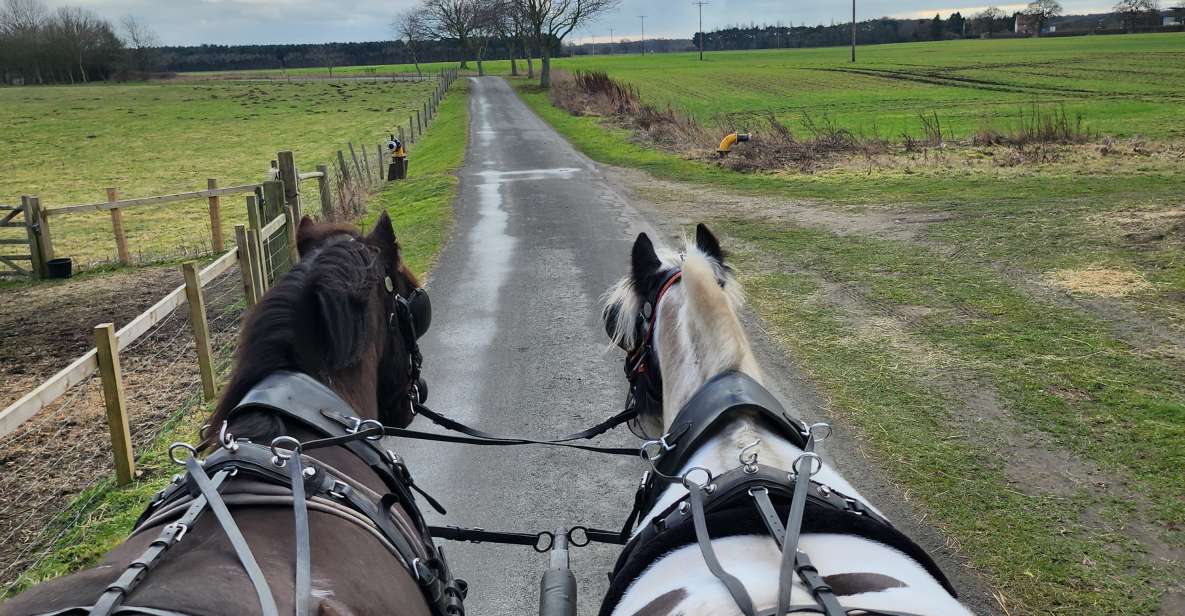 York: Horse Drawn Carriage Ride & Cream Tea - Itinerary Highlights