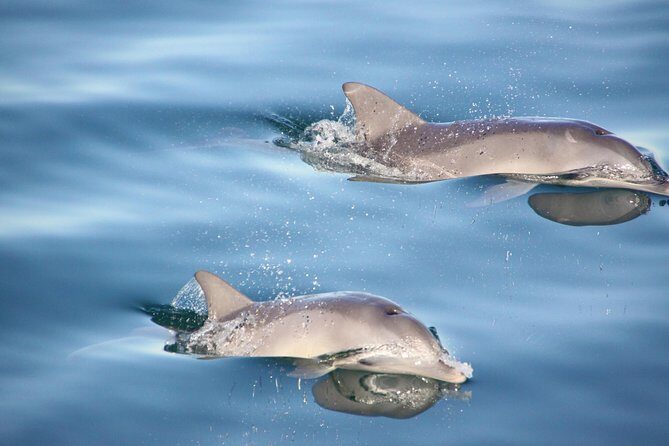 Yorke Peninsula 3-Day Small Group 4WD Eco Tour from Adelaide - Who Would Enjoy This Tour?