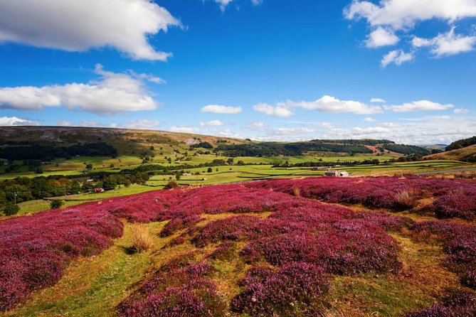 Yorkshire Dales Day Trip From York - Highlights of the Tour