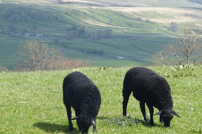 Yorkshire Dales Day Trip From York - Exploring Traditional Dales Villages