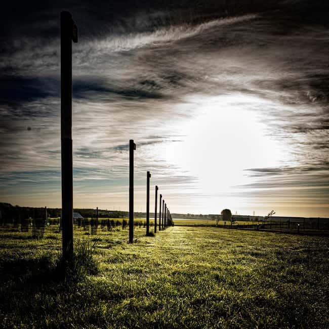 Yorkshire: Loversall Vineyard Wine Tasting and Tour - Introduction