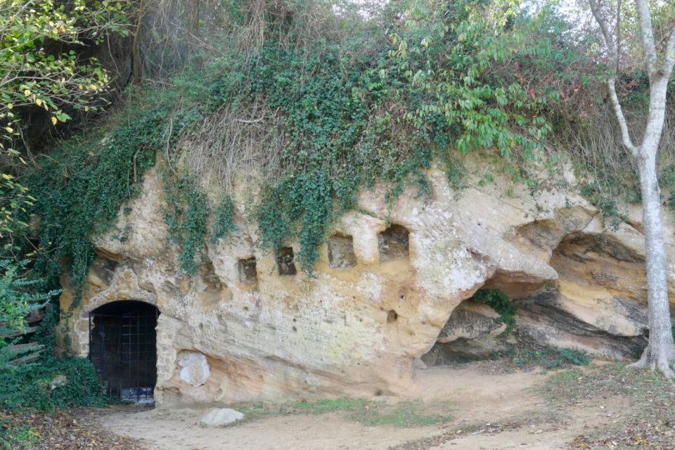 Yorktown Battlefield Self-Guided Driving Audio Tour - Engaging Storytelling and Narration