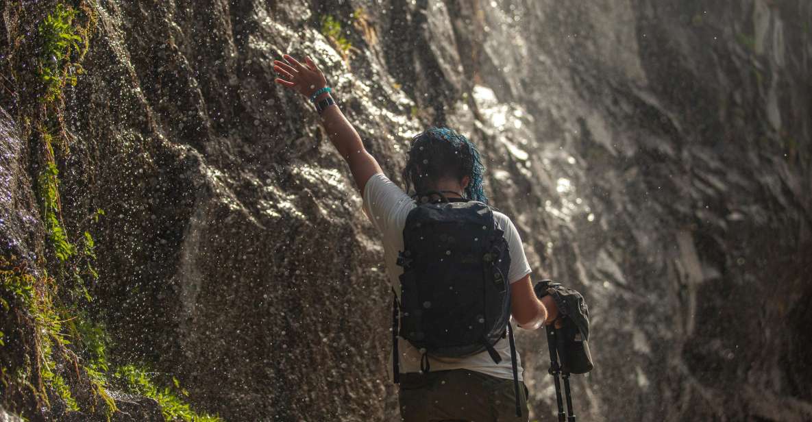 Yosemite High Country & Mariposa Grove Small-Group Tour - Key Points