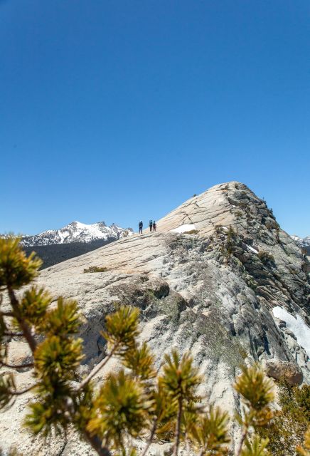 Yosemite High Country & Mariposa Grove Small-Group Tour - Expedition Details
