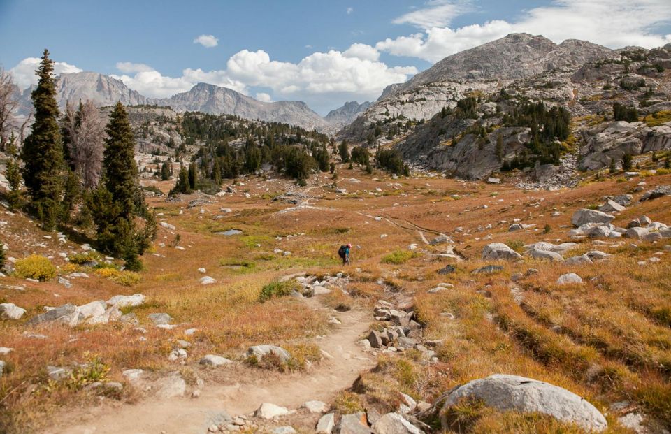 Yosemite High Country & Mariposa Grove Small-Group Tour - Highlights: Taft Point and Fissures